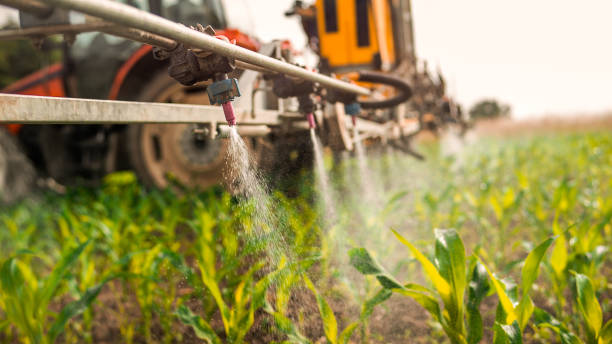 Insect Control in Chetopa, KS